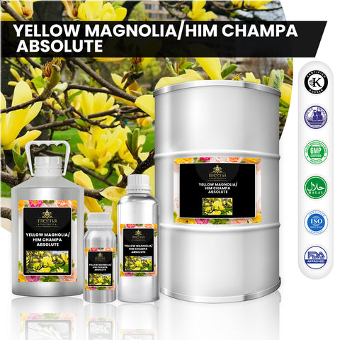Yellow Magnolia / Him Champa Absolute