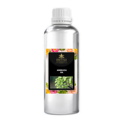 Angelica Root Oil