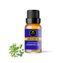 Angelica Root Oil