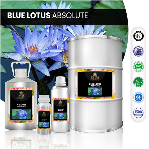 Blue Lotus  Absolute