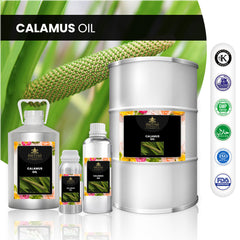 Calamus Oil