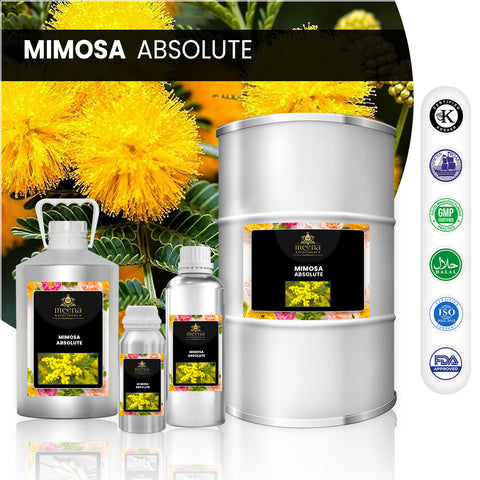 Mimosa Absolute