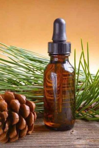 PINE NEEDLE OIL