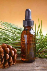 PINE NEEDLE OIL