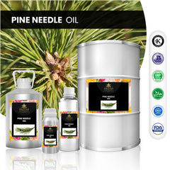 Pine Needle Oil