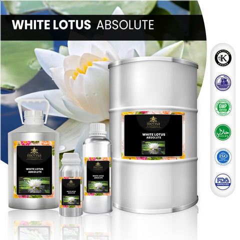 White Lotus Absoulate
