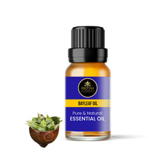 Bay Leaf Oil