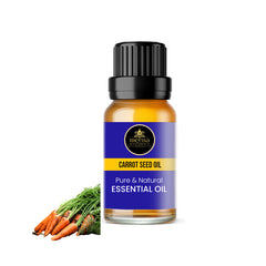 Carrot Seed Oil